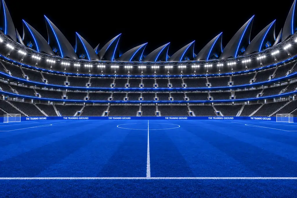 The mega stadium, from the pitch